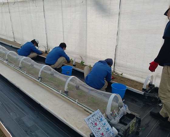 プロダクトエンジニア 仕事風景1